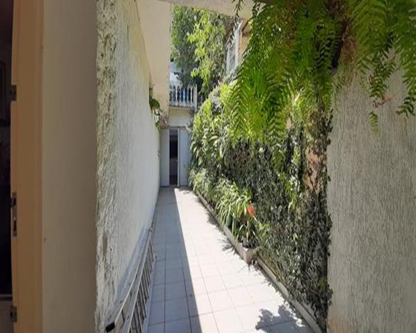 278504