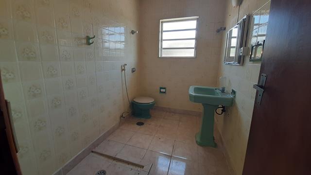 294196