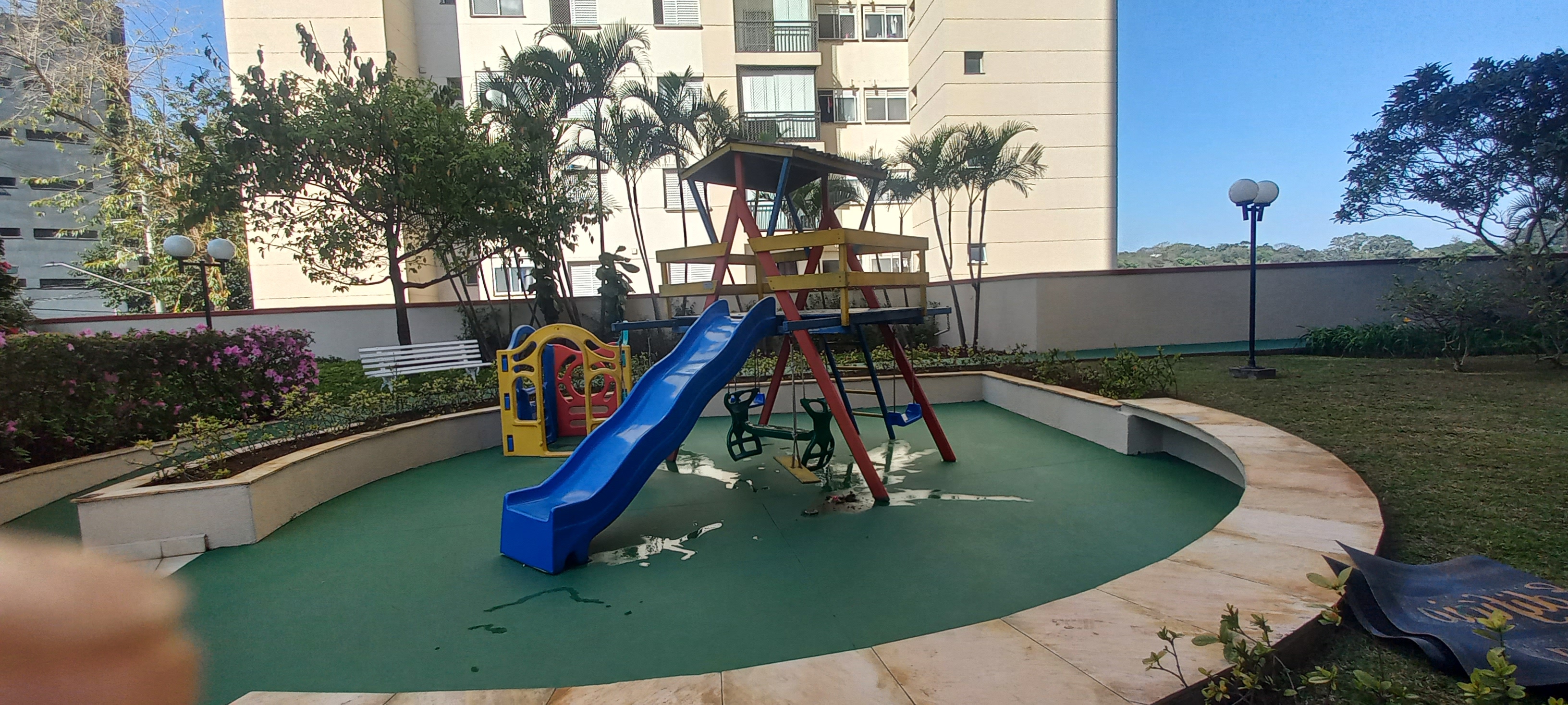 305491